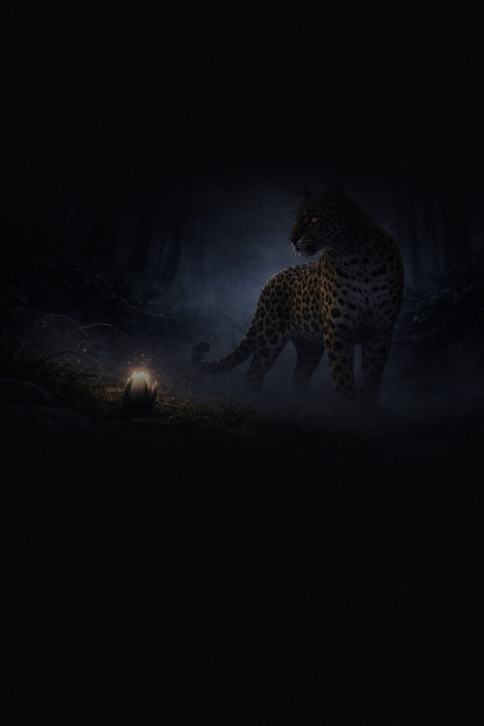 A leopard standing in twilight mist beside a single glowing bud.