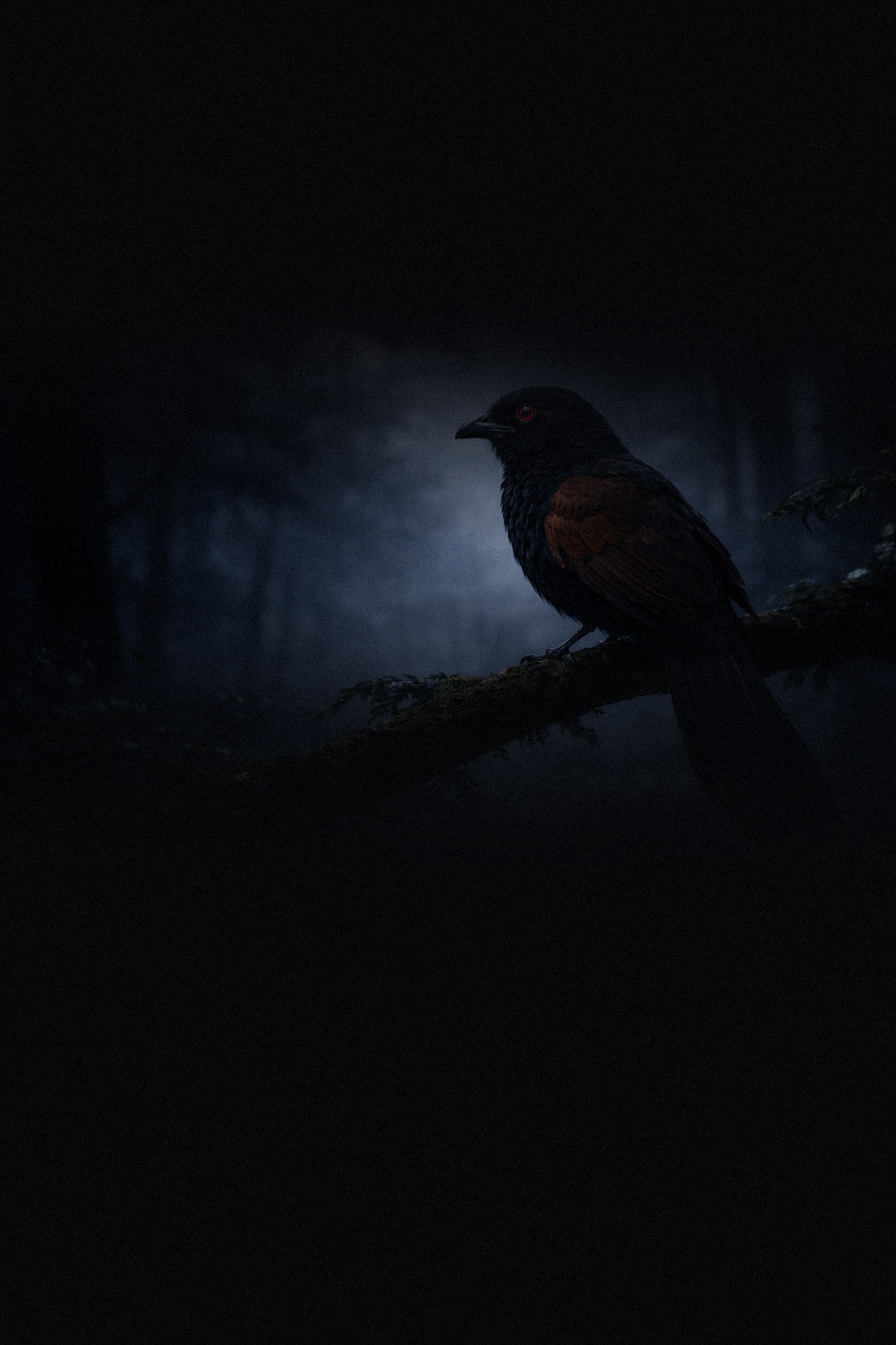 A dark bird perched on a bare branch in a misty forest, watching.